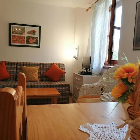 Pequeno Estudio Cuc 7 Apartment *